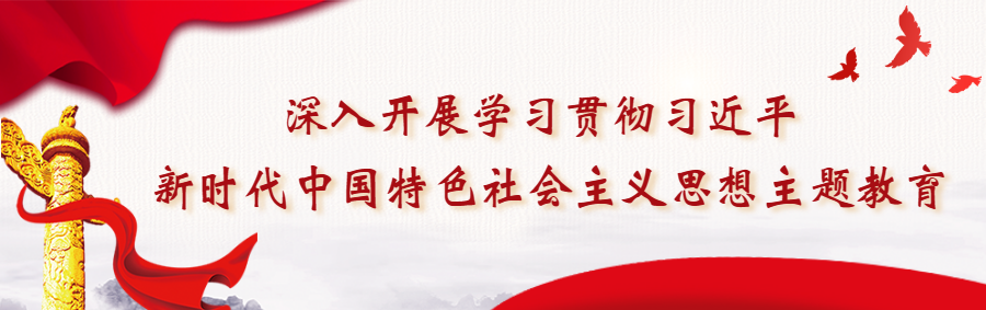 市im电竞集团(城投公司)党委举办学习贯彻习近平新时代中国特色社会主义思想主题教育专题培训班