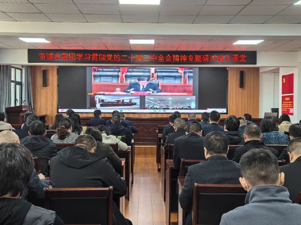 im电竞集团开展学习贯彻党的二十届三中全会精神专题研讨班分课堂活动