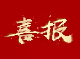 喜报 | im电竞集团两家公司顺利通过ISO管理体系标准认证