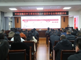 市im电竞集团举行学习贯彻党的二十届四中全会精神宣讲报告会